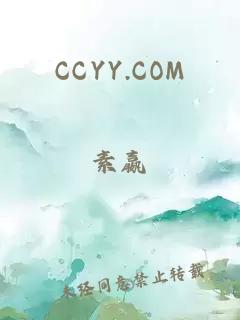 CCYY.COM